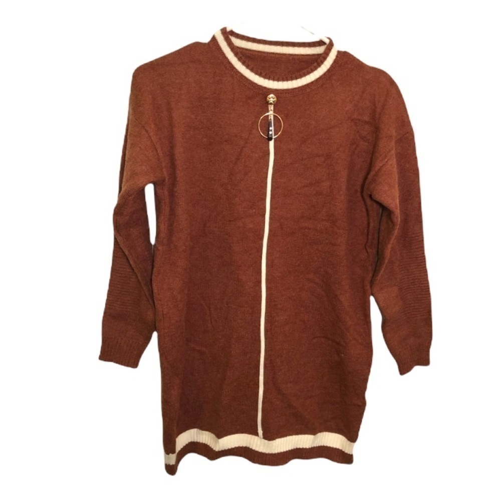 Women's Tunic Sweater Dress Rust Brown White Stripe Crewneck Long Sleeve Stretch